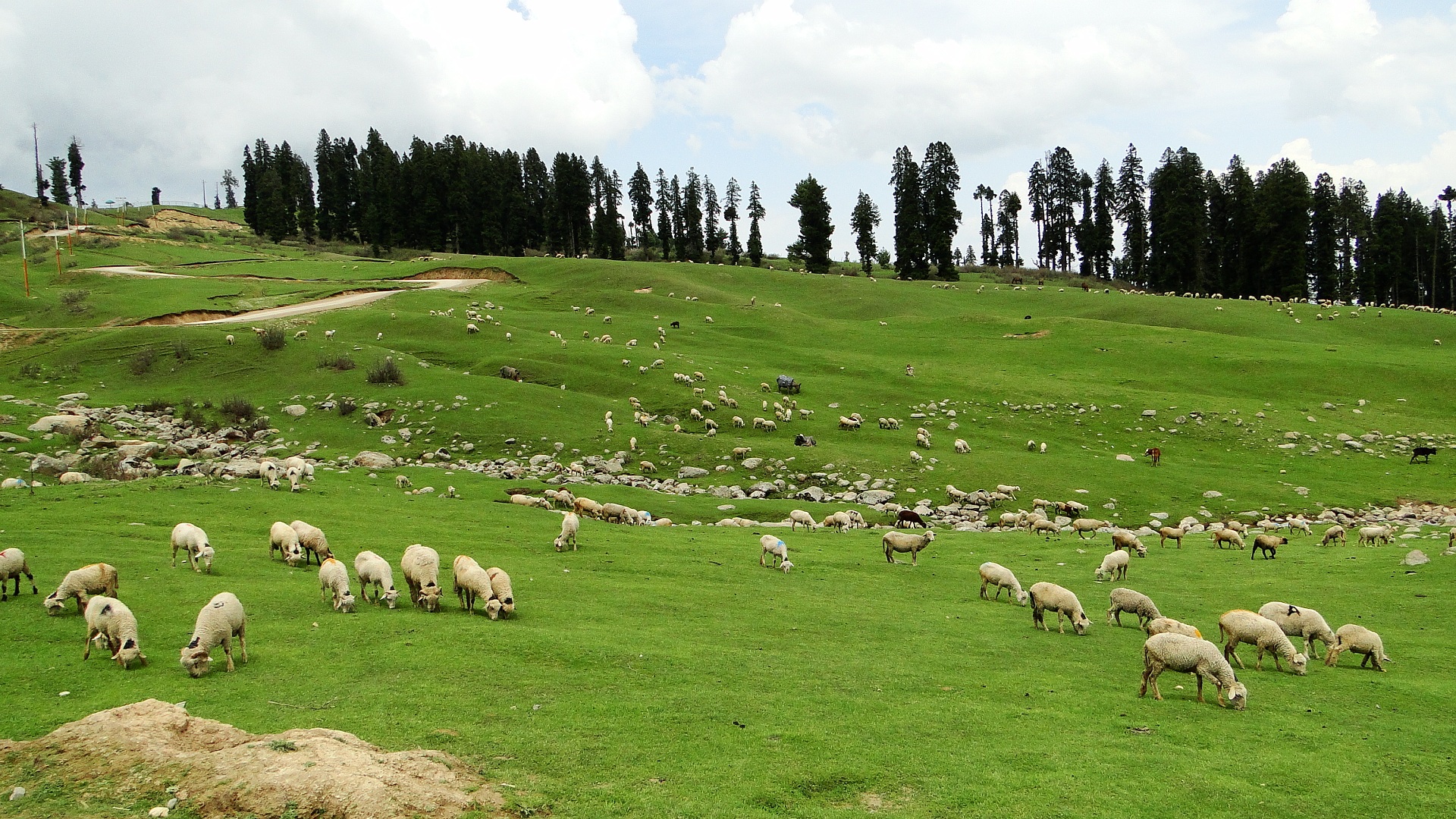 Doodhpathri - Countryside Kashmir