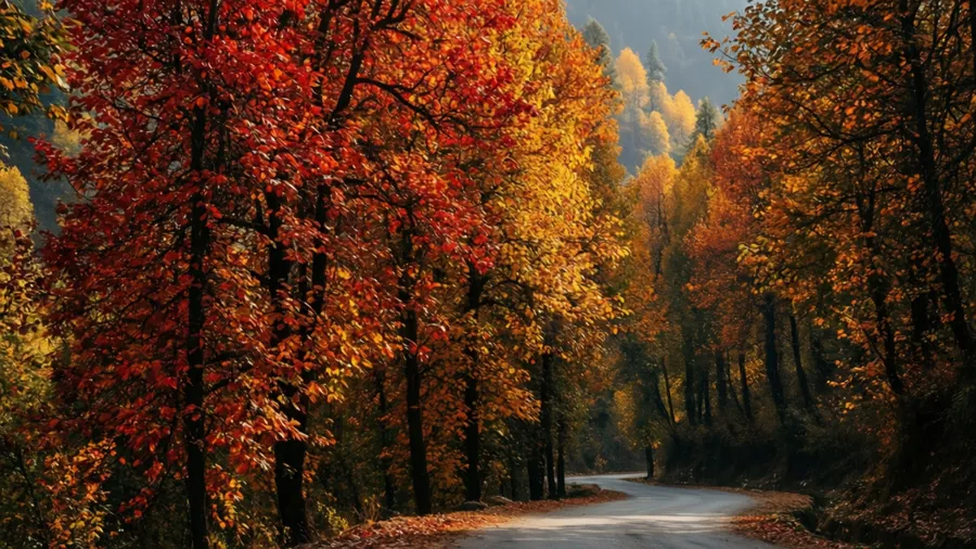 kashmir autumn tour - Countryside Kashmir