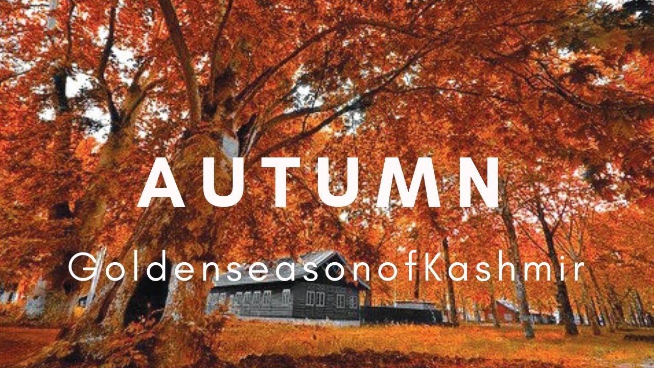 kashmir autumn packages 5Night 6 Days - Countryside Kashmir